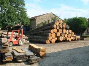 Parc à grumes.